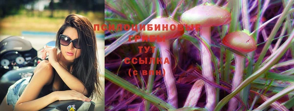 мяу мяу мука Балабаново