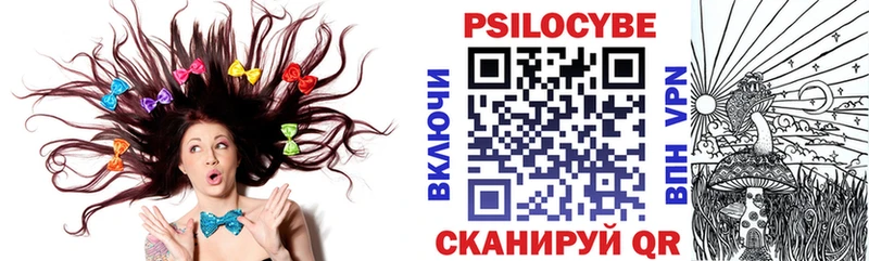 Галлюциногенные грибы Psilocybine cubensis  купить  цена  OMG ССЫЛКА  Владивосток 